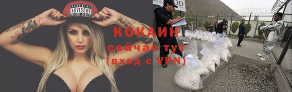 а пвп мука Абаза