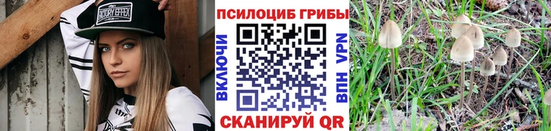 маркетплейс телеграм  Терек  Псилоцибиновые грибы MAGIC MUSHROOMS  купить  цена 